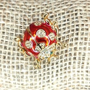 Ladybug Beetle insect bug Egyptian ruby red enamel Sparkle party brooch pin
